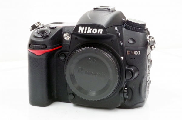 IMGP7901