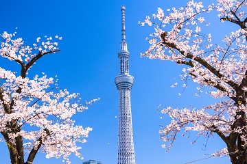 スカイツリー