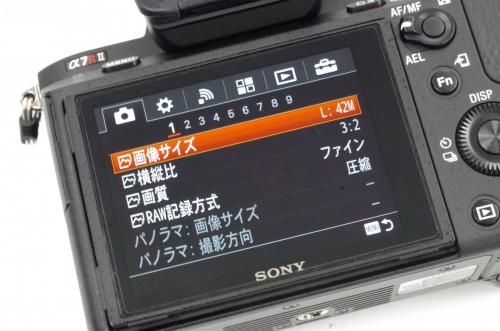 IMGP1818