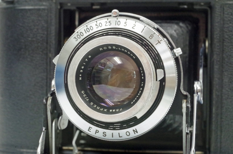 IMGP5903