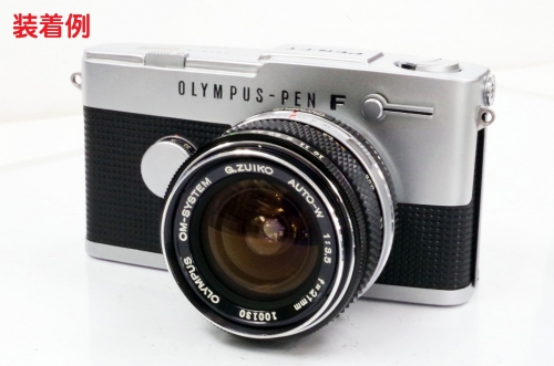 IMGP6011