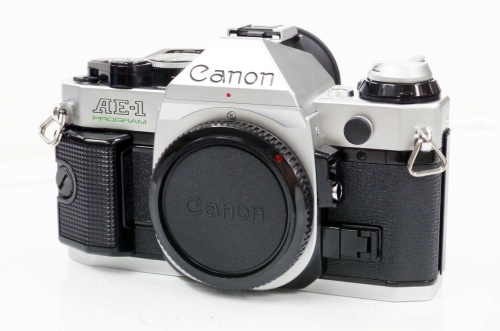 IMGP6110