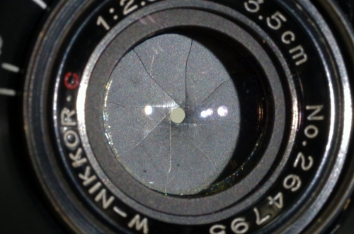 IMGP6238