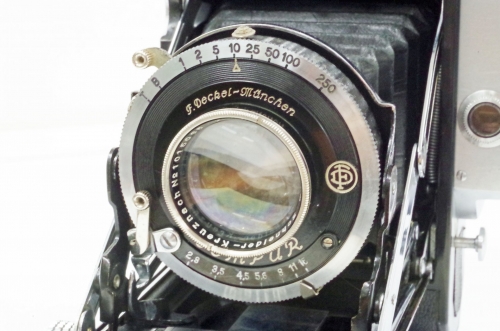 IMGP8198