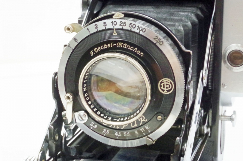 IMGP8198