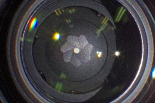 IMGP8244