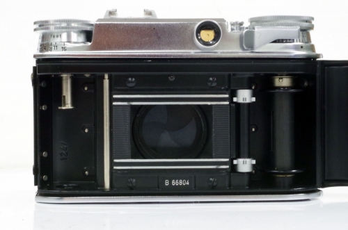 IMGP8743
