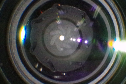 IMGP8333