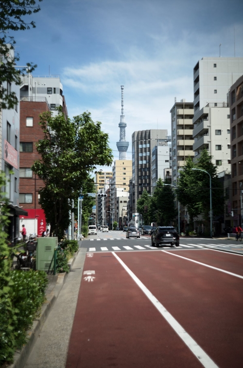 IMGP8604-1