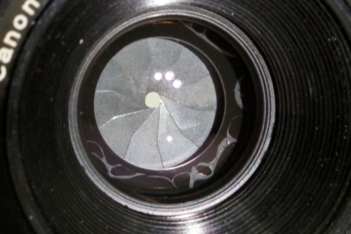 IMGP9052
