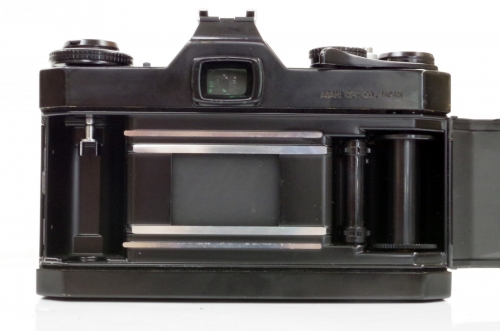 IMGP9173