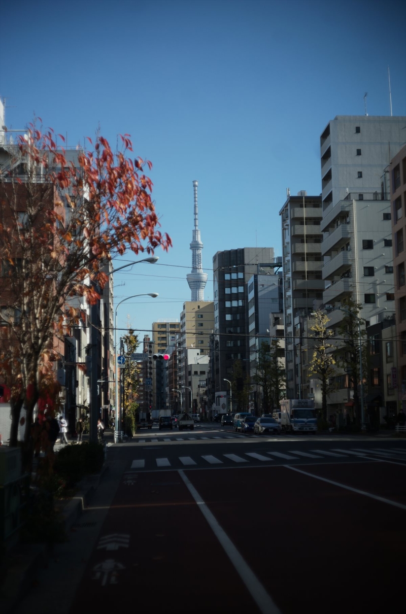IMGP0052-1